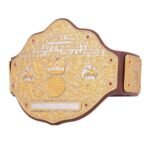 WWE Big Gold WWE World Heavyweight Championship Belt