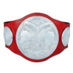 WWE Tag Team Championship World Wide Wrestling Championship Belt - Image 2