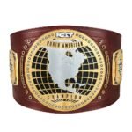 WWE World Heavy Championship NXT North American Champion WWE Belt