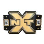 NXT Title WWE Heavy Champion World Wrestling Championship Belt - Image 2