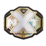 WWE NXT Title Heavy Weight Champion World Wrestling Championship Belt - Image 2