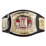 WWE Edge Rated R Superstar World Wrestling Entertainment Championship Belt - Image 2