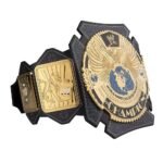 WWE Triple H WWE Heavy Champion World Wrestling Championship Belt - Image 3