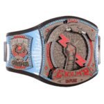 CM Punk 434-Day Record Signature Series Championship Title Belt - Image 3