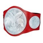 WWE Tag Team Championship World Wide Wrestling Championship Belt