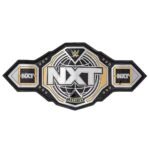 NXT Titles WWE World Heavyweight Championship Belt - Image 3