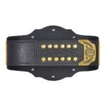 World Wrestling Championship Belt Intercontinental Title WWE Championship Belts - Image 4