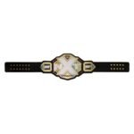 WWE NXT Title Heavy Weight Champion World Wrestling Championship Belt - Image 4