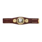 WWE World Heavy Championship NXT North American Champion WWE Belt - Image 4