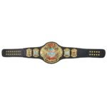 ECW World Heavyweight Wrestling Championship Title Belt - Image 4