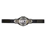 NXT Titles WWE World Heavyweight Championship Belt - Image 4