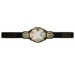 WWE NXT Title Heavy Weight Champion World Wrestling Championship Belt - Image 4