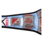 CM Punk 434-Day Record Signature Series Championship Title Belt - Image 4