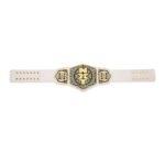 WWE world heavy championship Tag Team NXT Title Women’s Belt - Image 4