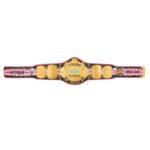 WWE Heavy Champion Bret Hart World Wide Wrestling Championship Belt - Image 4
