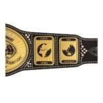 WWE Wrestler Chyna Intercontinental Title World Wrestling Championship Belt - Image 5