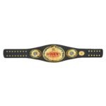 WWE World Heavyweight Championship Attitude Era Women’s Belt - Image 5
