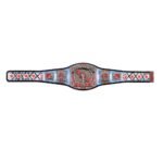 CM Punk 434-Day Record Signature Series Championship Title Belt - Image 6