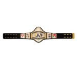 WWE World Heavyweight Championship World Wrestling Championship Belt - Image 4