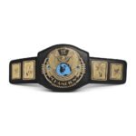 IGLOO WWE Attitude Era Championship Belt Fanny Pack – Adjustable Waist Bag