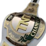 AEW TNT Premium Championship Wrestling Belt – 4MM Zinc Leather Adult Size