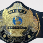 DUAL Winged Eagle Championship Wrestling Title Belt
