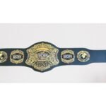 NEW Hulk Hogan World Heavyweight Wrestling Champion Title Belt – Adult Size 