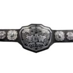 New 2010 ECW World Heavyweight Championship 2MM/4MM Wrestling Title Belt