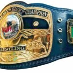 NWA Domed Globe World Heavyweight Championship Belt – Brass Adult Size