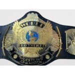 Dual Plated Winged Eagle Belt – Championship Replica Title Belt – front view